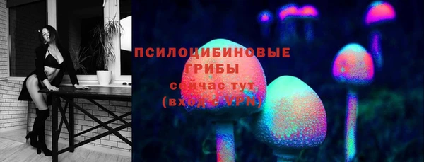 стафф Баксан