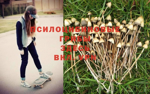 стафф Баксан