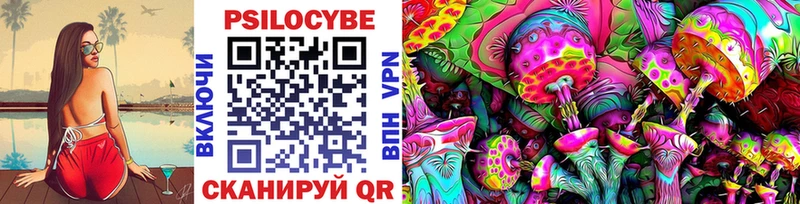 Купить Боровичи Галлюциногенные грибы GOLDEN TEACHER